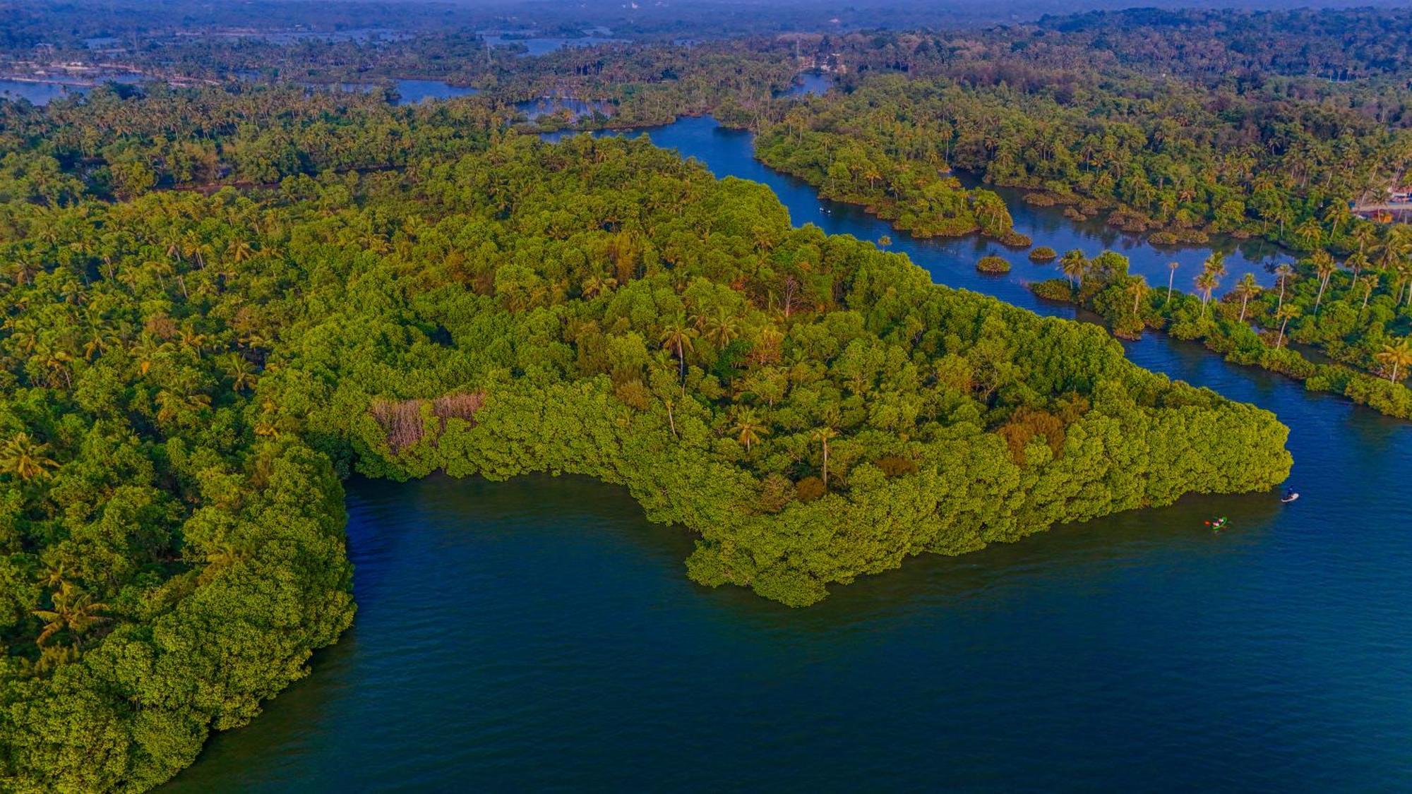 Fragrant Nature Backwater Resort & Ayurveda Spa Коллам Екстер'єр фото